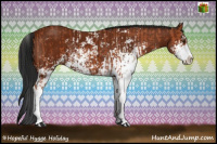 Horse Color:Bay Sabino and Gray Bay Sabino