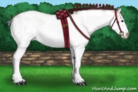 Horse Color:Bay Dun Mushroom Sabino 