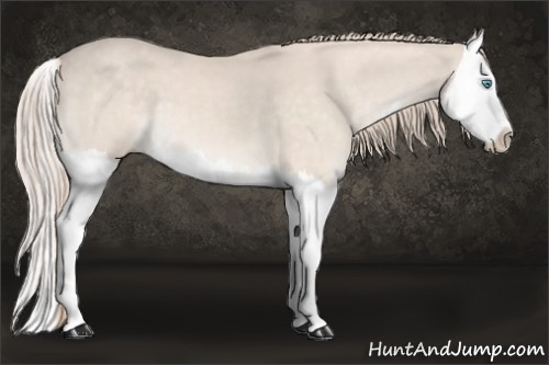 Horse Color:Perlino Splash 