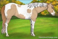 Horse Color:Red Dun Splash Tobiano Brindle 