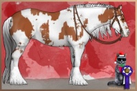 Horse Color:Bay Sabino  and Bay Sabino 