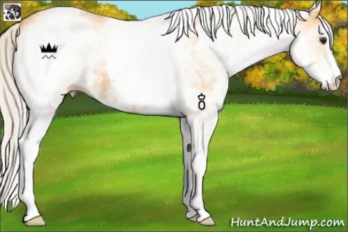 Horse Color:White Spotted Silver Buckskin 