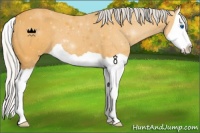 Horse Color:Silver Buckskin Splash 