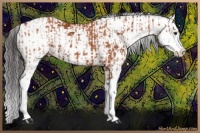 Horse Color:Bay Sabino  and Bay Sabino 