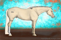 Horse Color:Gold Cream Champagne Dun