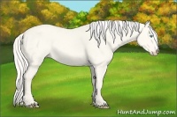 Horse Color:Cremello Dun 