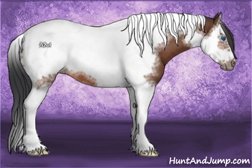 Horse Color:Bay Sabino Splash Tobiano Frame Rabicano 