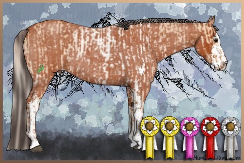 Horse Color:Silver Bay Roan Dun Sabino and Bay Roan Sabino