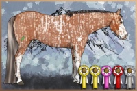 Horse Color:Silver Bay Roan Dun Sabino and Bay Roan Sabino