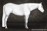Horse Color:Gray Black 