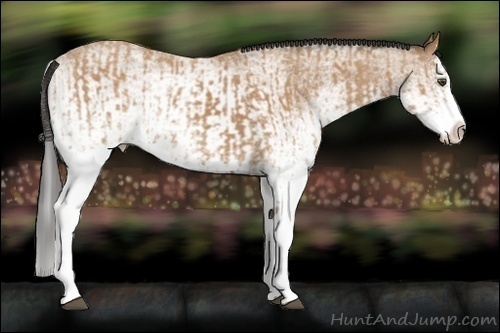 Horse Color:White Spotted Buckskin Splash  and White Spotted Buckskin Splash 