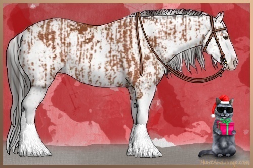 Horse Color:Bay Sabino  and Bay Sabino 