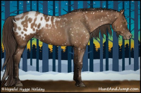 Horse Color:Gray Black Pearl Appaloosa