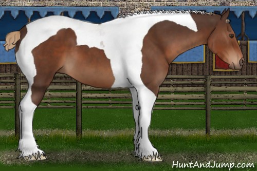 Horse Color:Liver Chestnut Tobiano 