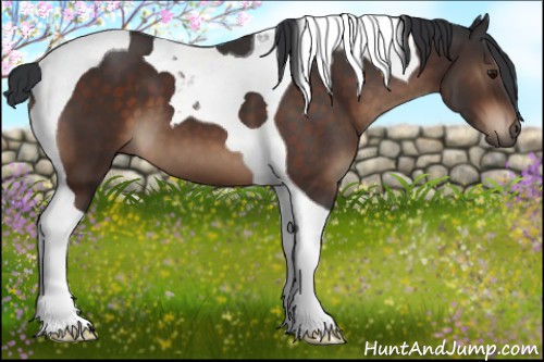Horse Color:Brown Tobiano