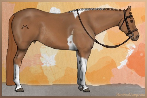Horse Color:Chestnut Tobiano Rabicano 