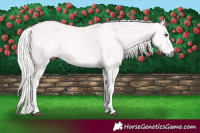 Horse Color:Platinum Palomino and Platinum Palomino
