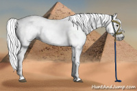 Horse Color:Gray Chocolate Palomino Tobiano 