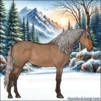 Horse Color:Silver Brown Dun Sabino Rabicano