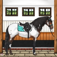 Horse Color:Bay Near Fewspot 