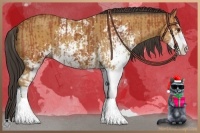 Horse Color:Bay Sabino and Buckskin Sabino