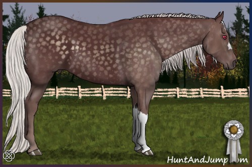 Horse Color:Chocolate Silver Smoky Black Chinchilla Mushroom 