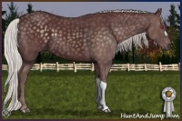 Horse Color:Chocolate Silver Smoky Black Chinchilla Mushroom 