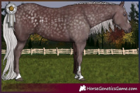 Horse Color:Chocolate Silver Smoky Black Chinchilla Mushroom 