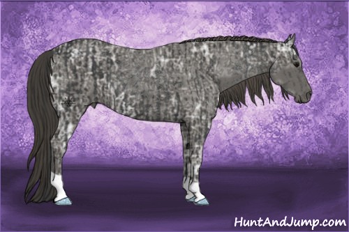 Horse Color:Black  and Smoky Black Ice 