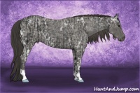 Horse Color:Black  and Smoky Black Ice 