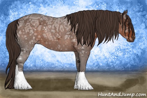 Horse Color:Liver Chestnut Ice 