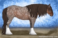 Horse Color:Liver Chestnut Ice