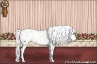 Horse Color:Palomino Pearl Sabino Splash Appaloosa 