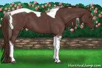 Horse Color:Gray Red Roan Tobiano 