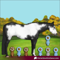 Horse Color:Gray Black Frame 