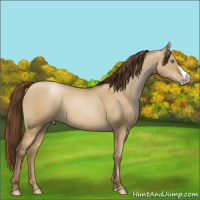 Horse Color:Gray Smoky Grullo Pearl 