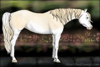Horse Color:Smoky Black Pearl Splash 