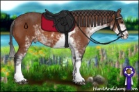 Horse Color:Buckskin Sabino