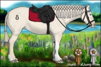 Horse Color:Cremello Dun Sabino Tobiano