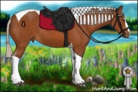 Horse Color:Silver Buckskin Sabino Tobiano