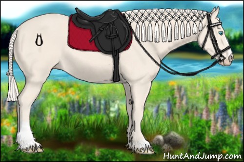 Horse Color:Cremello Sabino 