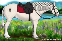 Horse Color:Cremello Sabino 