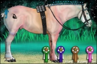 Horse Color:Cremello Sabino