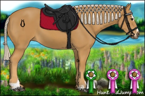 Horse Color:Palomino Sabino