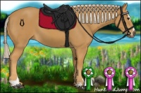 Horse Color:Palomino Sabino