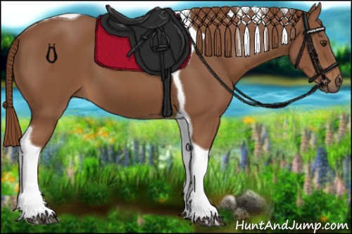 Horse Color:Chestnut Tobiano