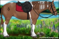 Horse Color:Chestnut Tobiano 