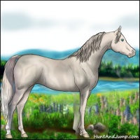 Horse Color:Perlino Rabicano 