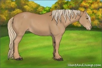 Horse Color:Chestnut Varnish 
