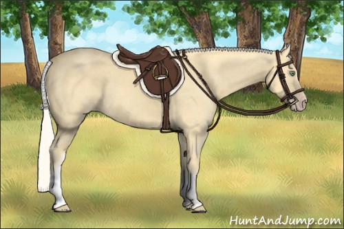 Horse Color:White Spotted Gold Cream Champagne 